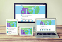 響應式網站建設一網天行-網站建設|微信開發|小程序開發