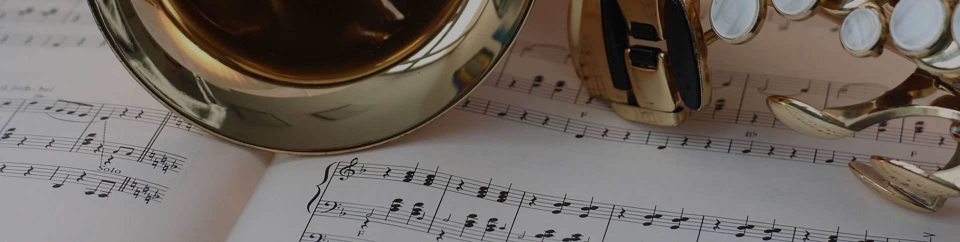 中國民族管弦樂學會-微信考試證書平臺|一網天行-網站建設小程序APP系統軟件開發公司