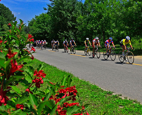 京西北旅游宣傳網站