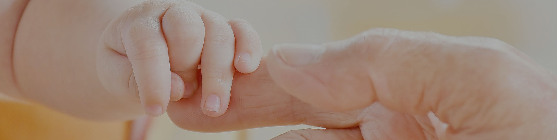 寶拾貳-兒童用品電商平臺|一網天行-網站建設小程序APP系統軟件開發公司